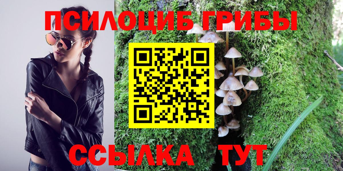 наркота  Галлюциногенные грибы прущие грибы  Вход с VPN  Северобайкальск 